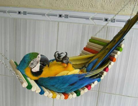 Hippie City Hostel Chania  Bagian luar foto